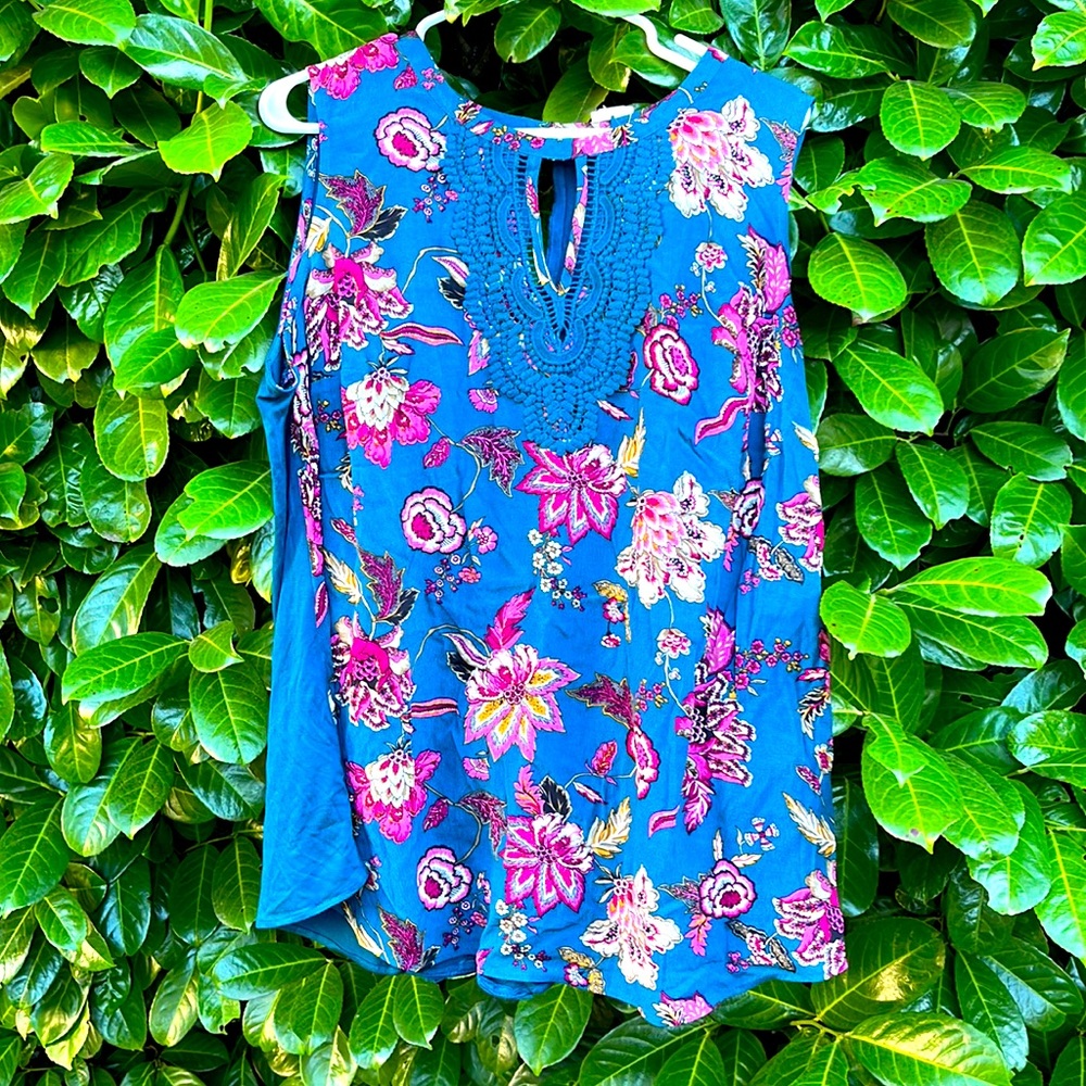 NWT Daniel Rainn Blue Floral blouse